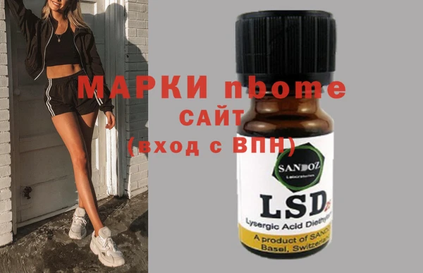 стаф Корсаков