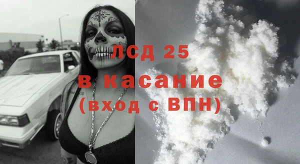 прущие грибы Алзамай