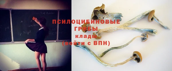 трава Абдулино